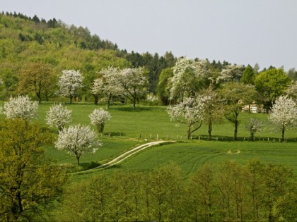 Photo: City Hagen, North Rhine-Westphalia