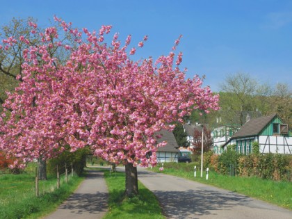 Photo: City Solingen, North Rhine-Westphalia