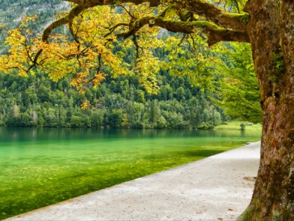 Photo: City Schönau am Königsee, “Black Riders” and Natural Beauty, Bavaria