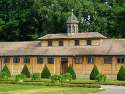 Photo: museums and exhibitions, castles, fortresses and palaces, Oranienbaum Palace, Saxony-Anhalt