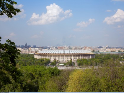 Photo: parks and recreation, other places, Sparrow Hills, Moscow