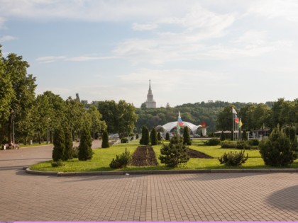 Photo: parks and recreation, other places, Sparrow Hills, Moscow