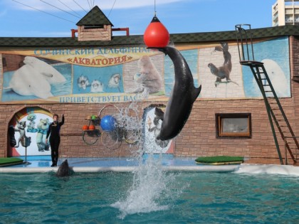 Photo: parks and recreation, Dolphinarium "Aquatoria" , Sochi