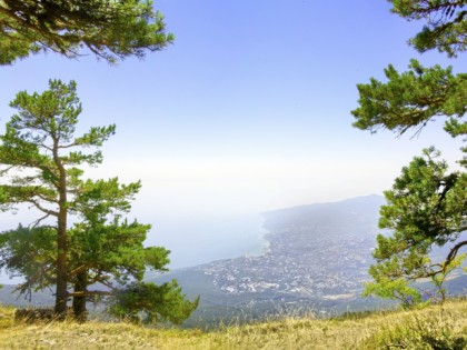 Photo: parks and recreation, Yalta Reserve , Yalta