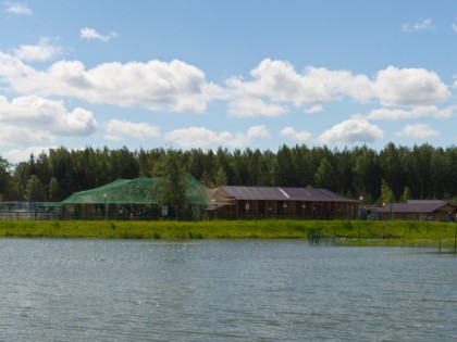 Photo: other places, Yaroslavl Zoo, Yaroslavl