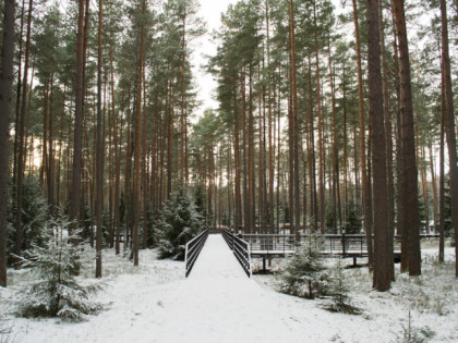 Photo: museums and exhibitions, «Katyn» Memorial, Smolensk