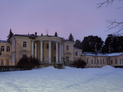 Photo: architectural monuments, other places, Vvedenskoe estate, Zvenyhorod