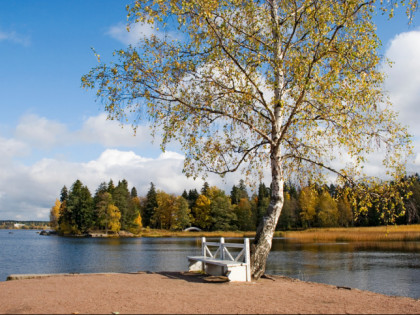 Photo: parks and recreation, Mon Repos Park, Vyborg