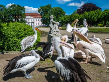 Photo: parks and recreation, Berlin Zoo, Berlin