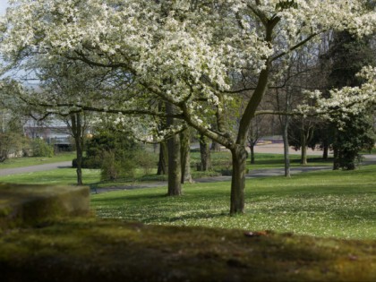 Photo: parks and recreation, City Park , Rhineland-Palatinate