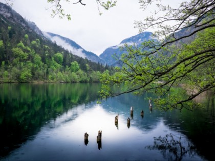 Photo: other places, Tumsee Lake, Bavaria