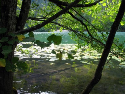 Photo: other places, Tumsee Lake, Bavaria