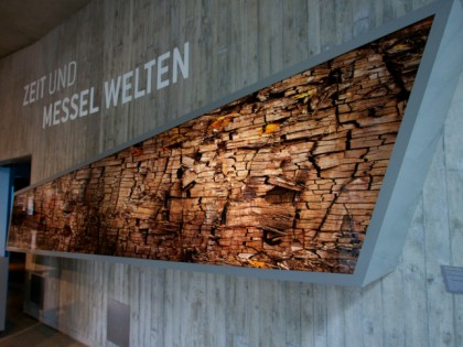 Photo: museums and exhibitions, other places, Archeological Reserve Messel , Hesse