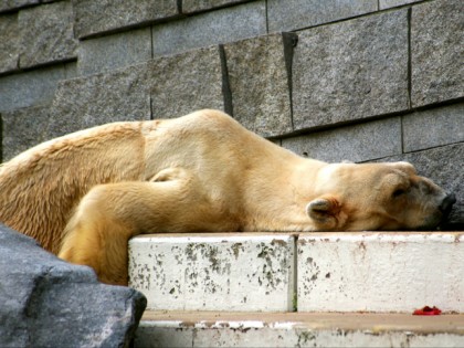 Photo: parks and recreation, Wuppertal Zoo , North Rhine-Westphalia