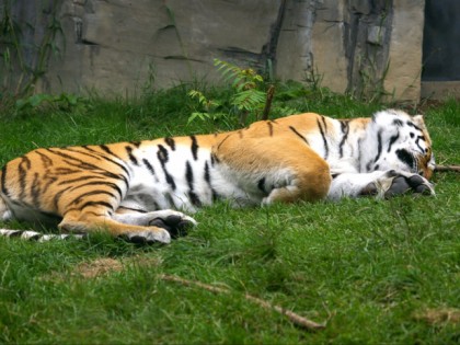 Photo: parks and recreation, Wuppertal Zoo , North Rhine-Westphalia