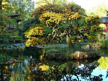 Photo: parks and recreation, Japanese Garden , North Rhine-Westphalia