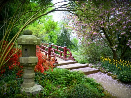 Photo: parks and recreation, Japanese Garden , North Rhine-Westphalia