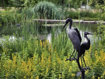 Photo: parks and recreation, Japanese Garden , North Rhine-Westphalia