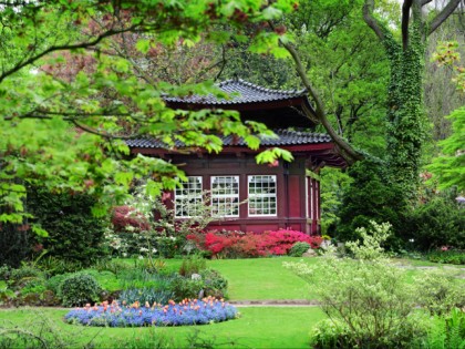 Photo: parks and recreation, Japanese Garden , North Rhine-Westphalia