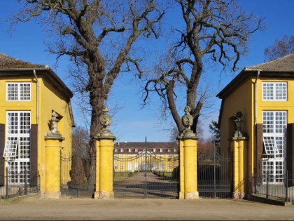 Photo: museums and exhibitions, castles, fortresses and palaces, Mosigkau Palace, Saxony-Anhalt