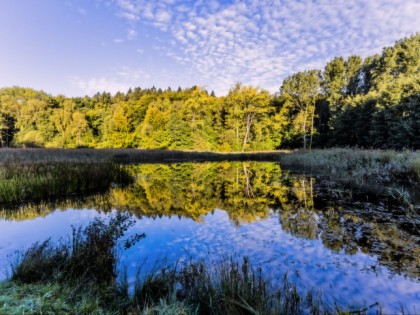 Photo: parks and recreation, Lindenpark, Mecklenburg-Western Pomerania