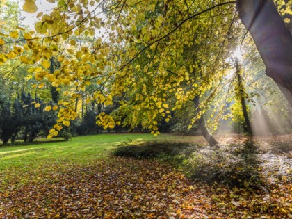 Photo: parks and recreation, Lindenpark, Mecklenburg-Western Pomerania