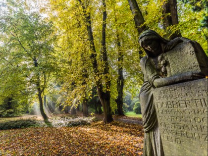 Photo: parks and recreation, Lindenpark, Mecklenburg-Western Pomerania