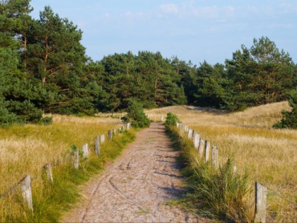 Photo: parks and recreation, Western Pomerania Lagoon Area National Park, Mecklenburg-Western Pomerania