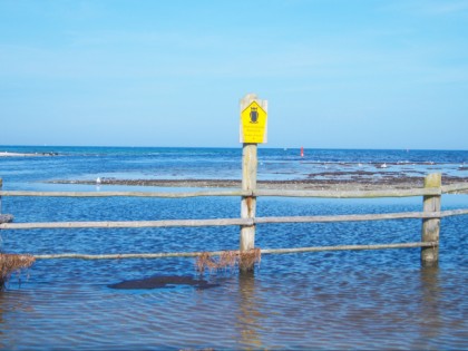 Photo: parks and recreation, Western Pomerania Lagoon Area National Park, Mecklenburg-Western Pomerania