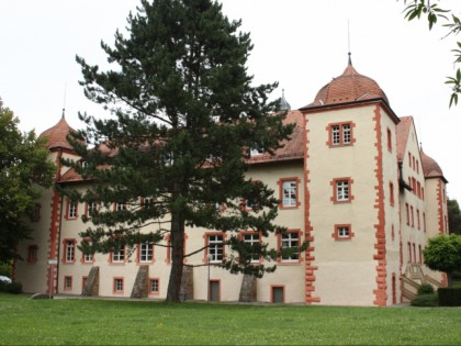 Photo: castles, fortresses and palaces, Flehingen Castle, Baden-Wuerttemberg