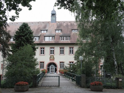 Photo: castles, fortresses and palaces, Flehingen Castle, Baden-Wuerttemberg