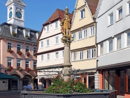 Photo: architectural monuments, museums and exhibitions, Town Hall and Prehistoric Museum, Baden-Wuerttemberg