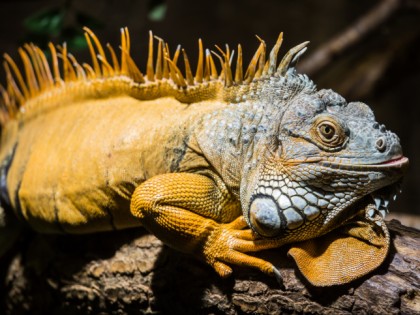 Photo: parks and recreation, Zoo at the North Sea, Bremen