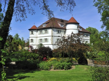 Photo: museums and exhibitions, castles, fortresses and palaces, Castle Bad Rappenau, Baden-Wuerttemberg