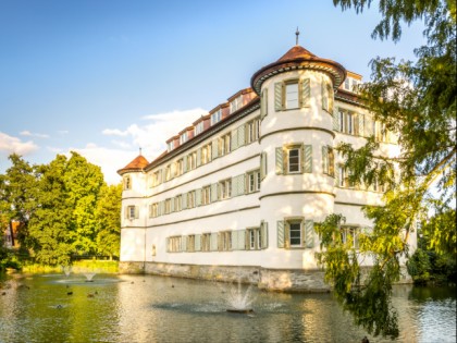 Photo: museums and exhibitions, castles, fortresses and palaces, Castle Bad Rappenau, Baden-Wuerttemberg